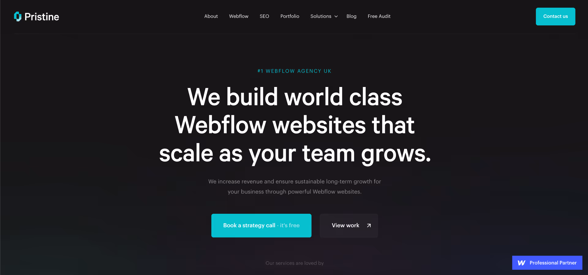 Image of Pristine website