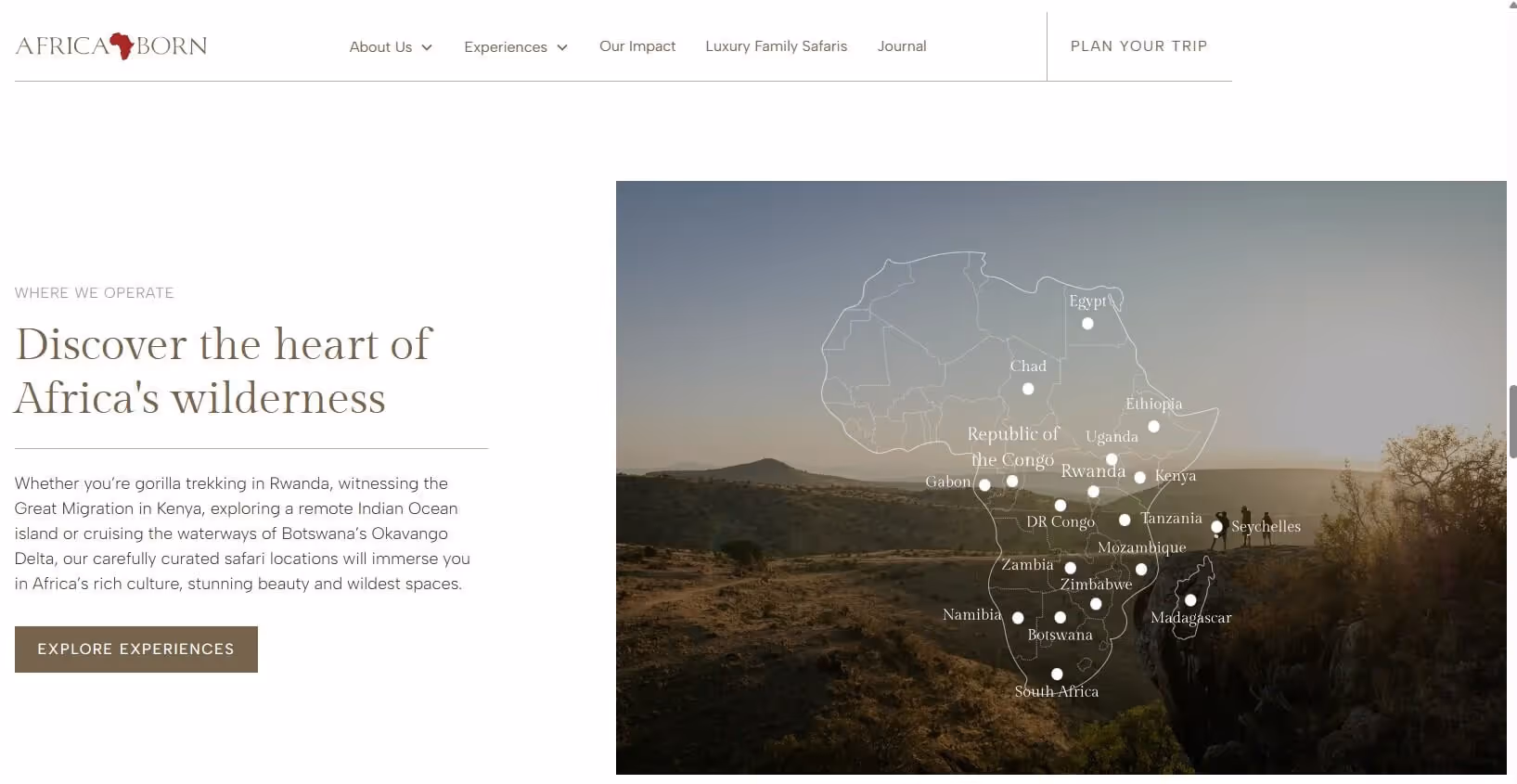 Screenshot of the Africa Born website
