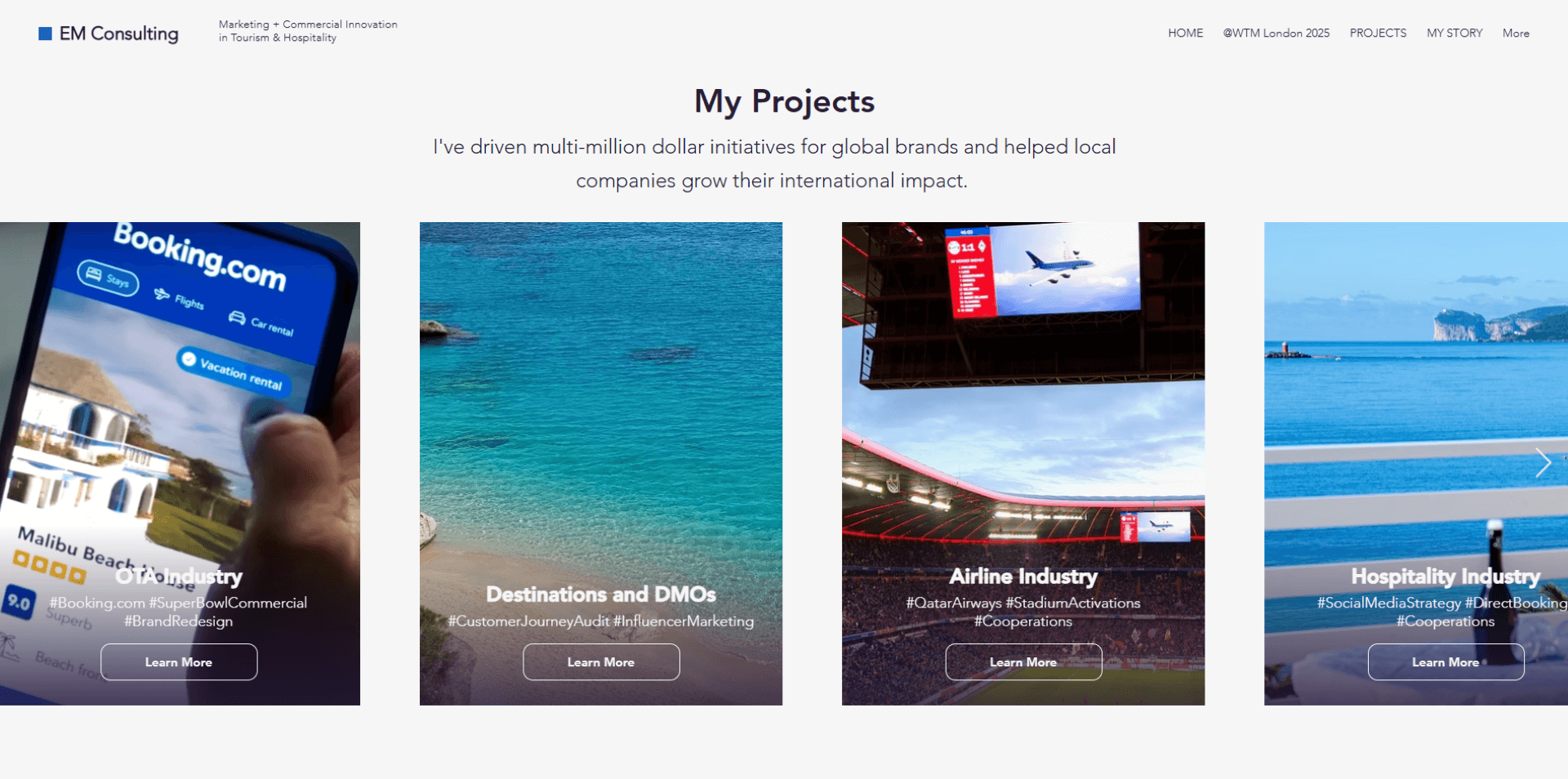 Image of EM Consulting website