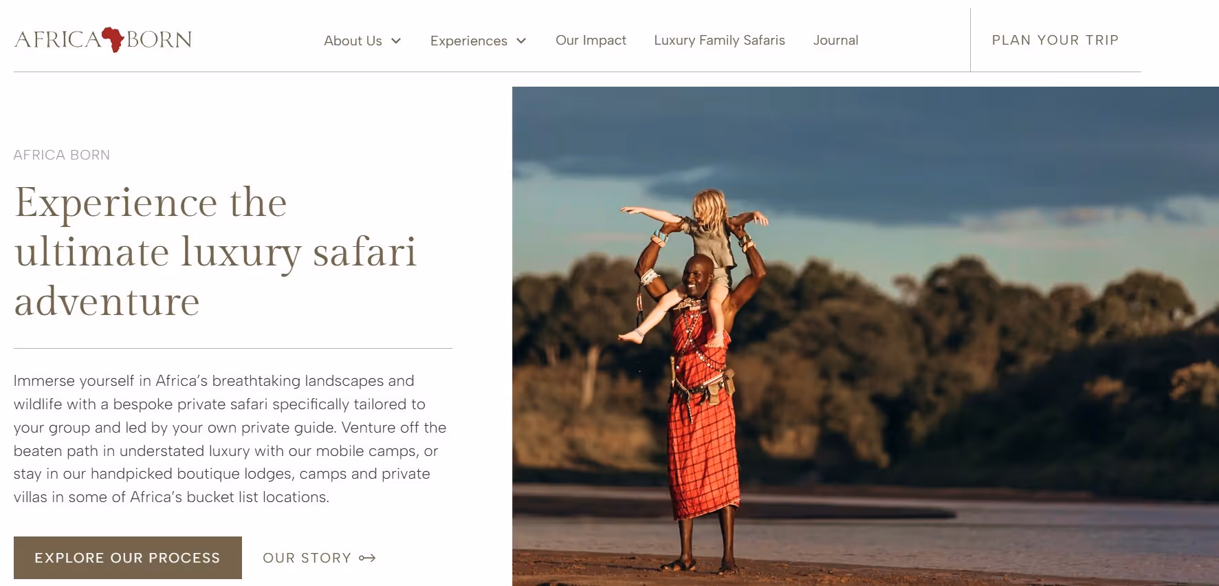 Image of the Africa Born website