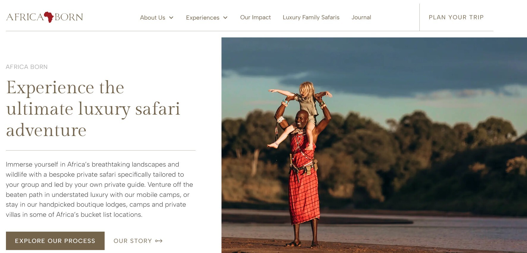 Image of the Africa Born website