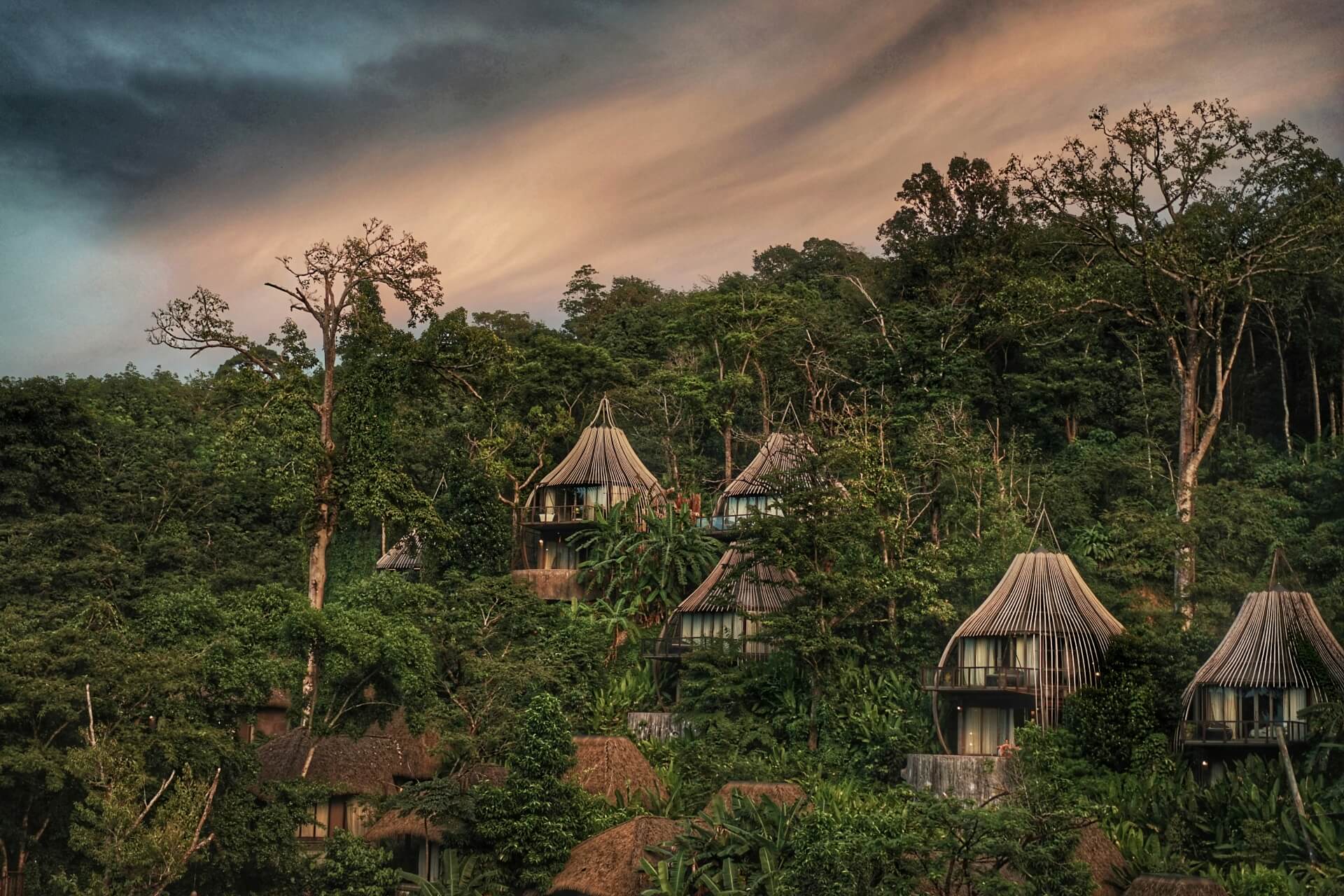 houses surrounded by trees