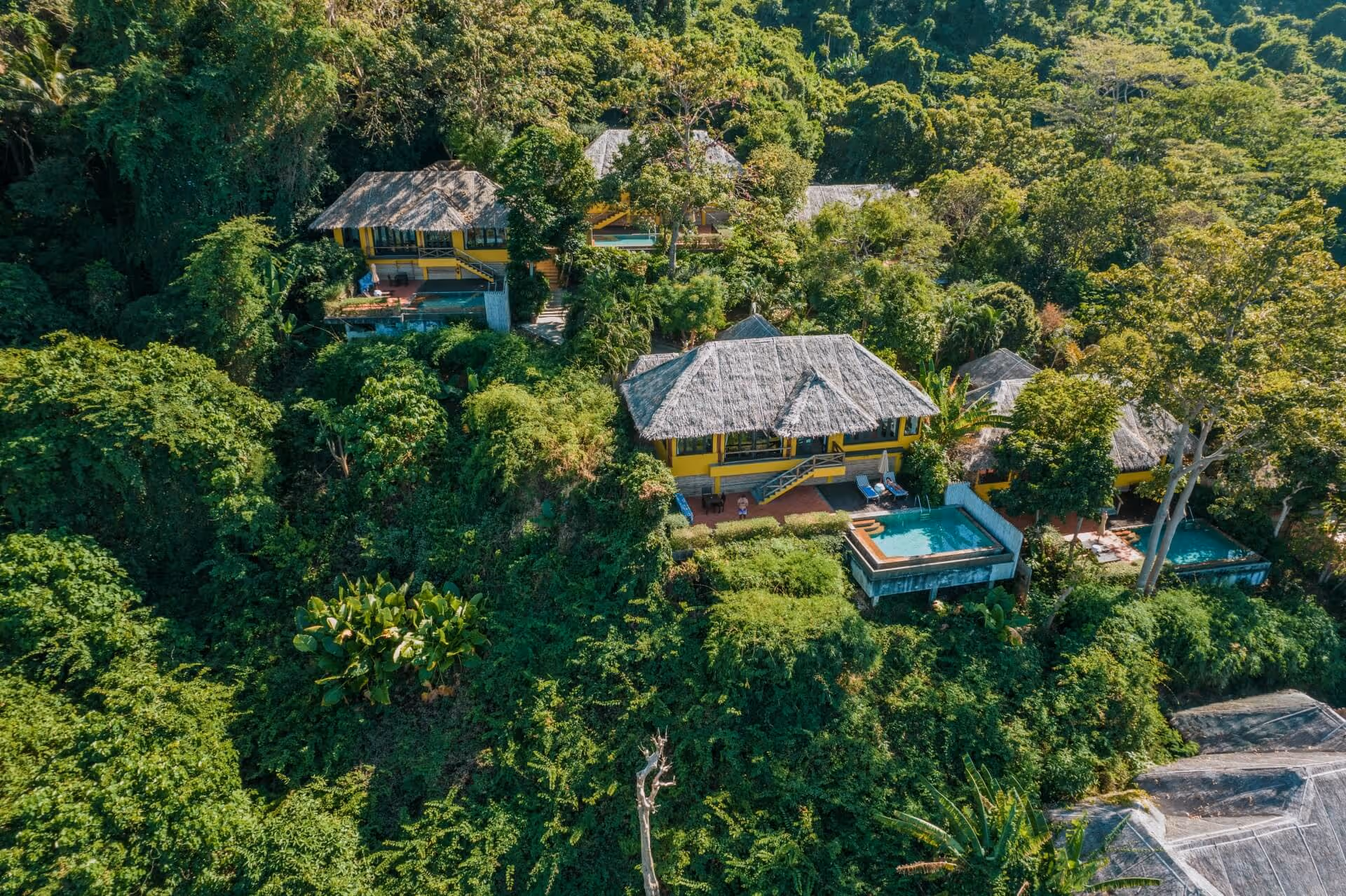 A bird's eye view of a tropical resort surrounded by trees