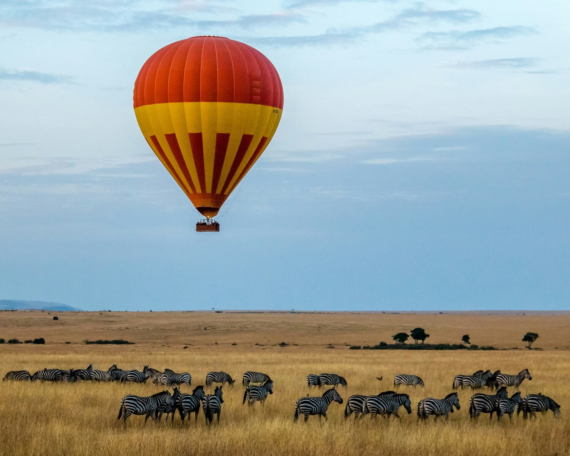 Hot air balloon with wild life