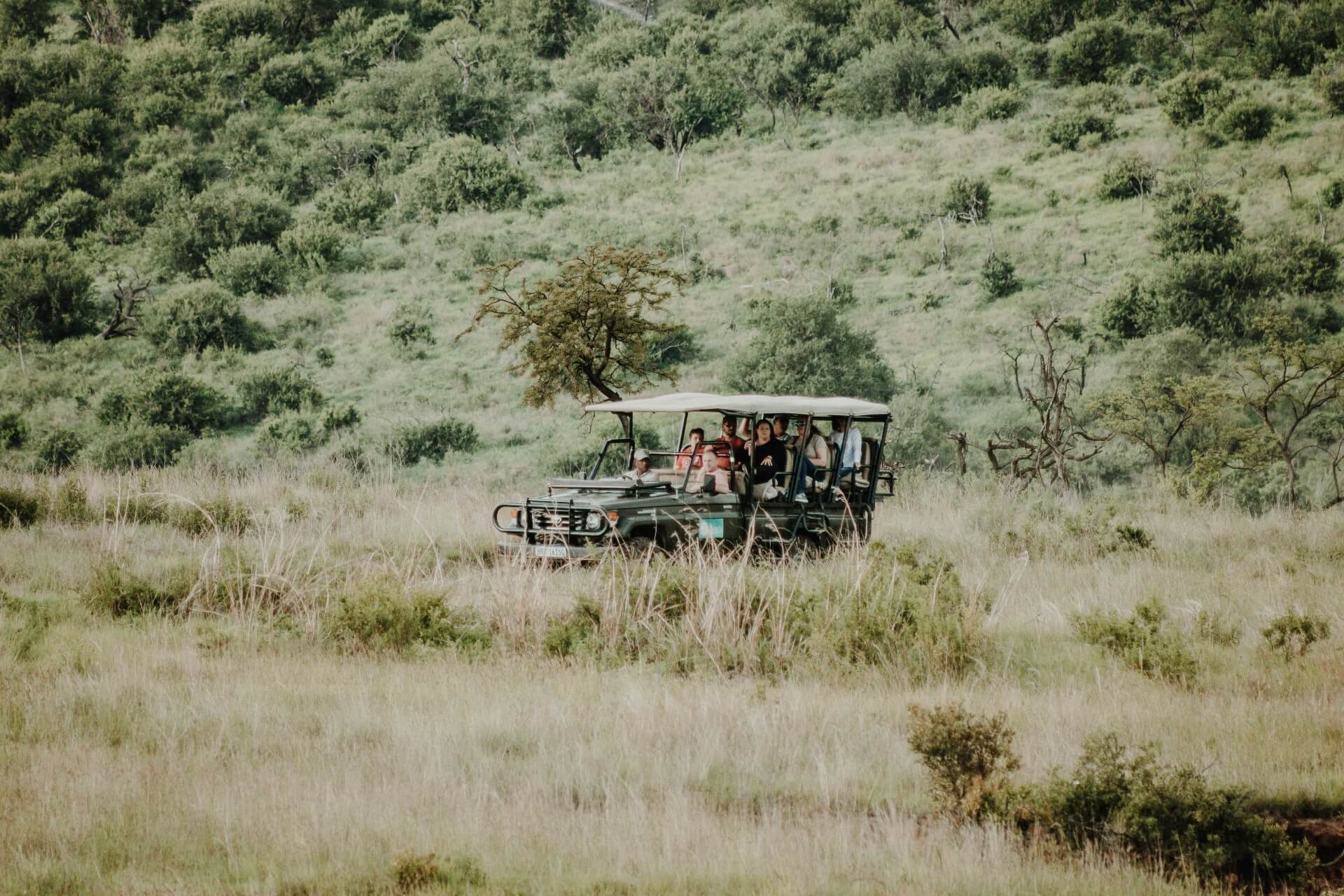 Group of tourists on a safari drive