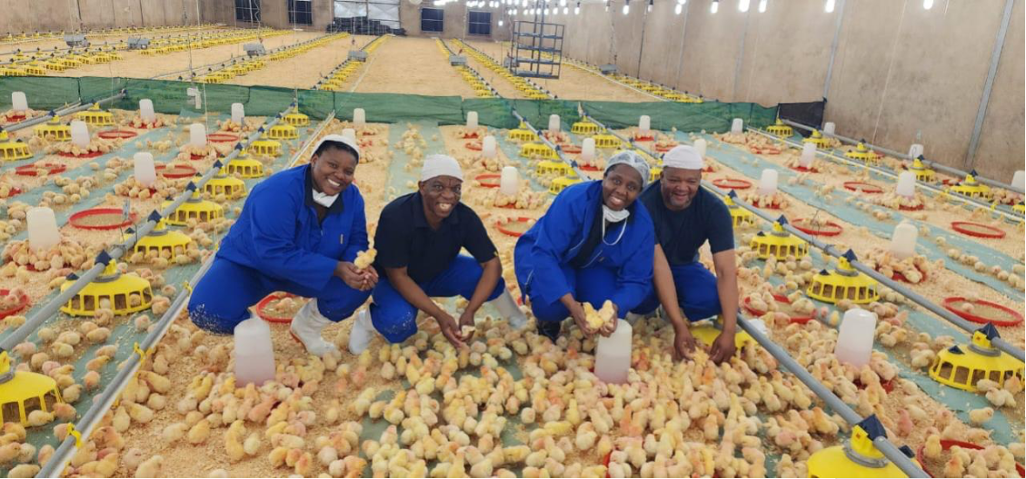 Daybreak Foods Charts Steady Recovery Under Business Rescue Process