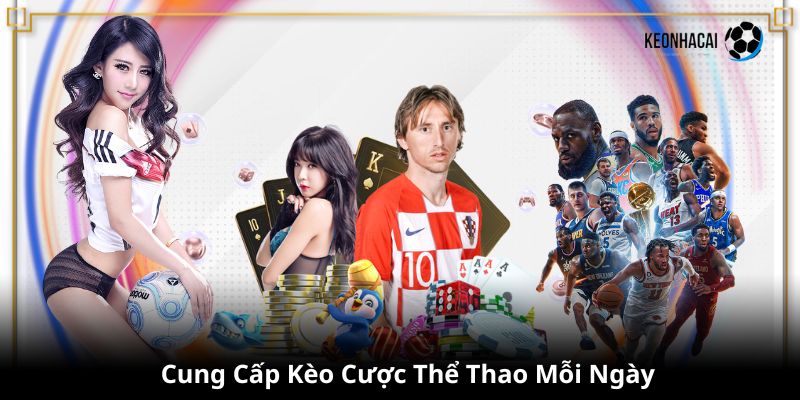 Cung cấp hàng trăm trận đấu cùng tỷ lệ kèo nhà cái mỗi ngày