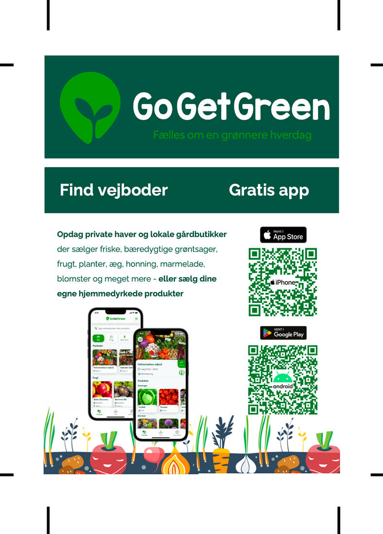 A6 Flyer GoGetGreen