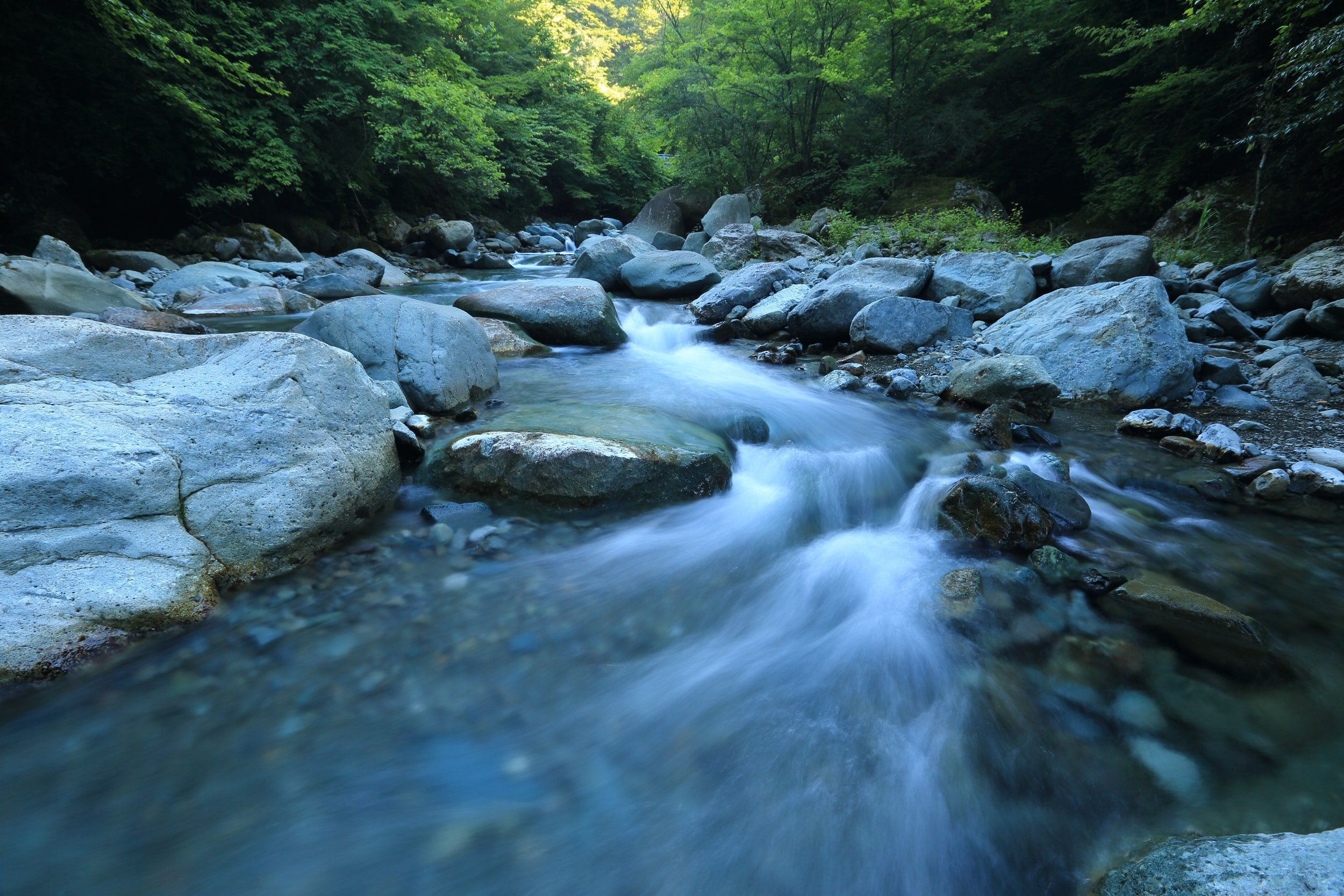 A flowing river in the woods