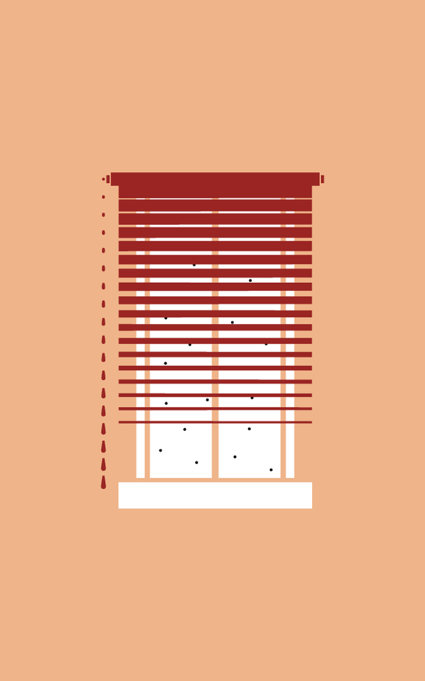 Window Icon
