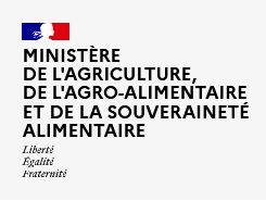 professeure yoga toulouse