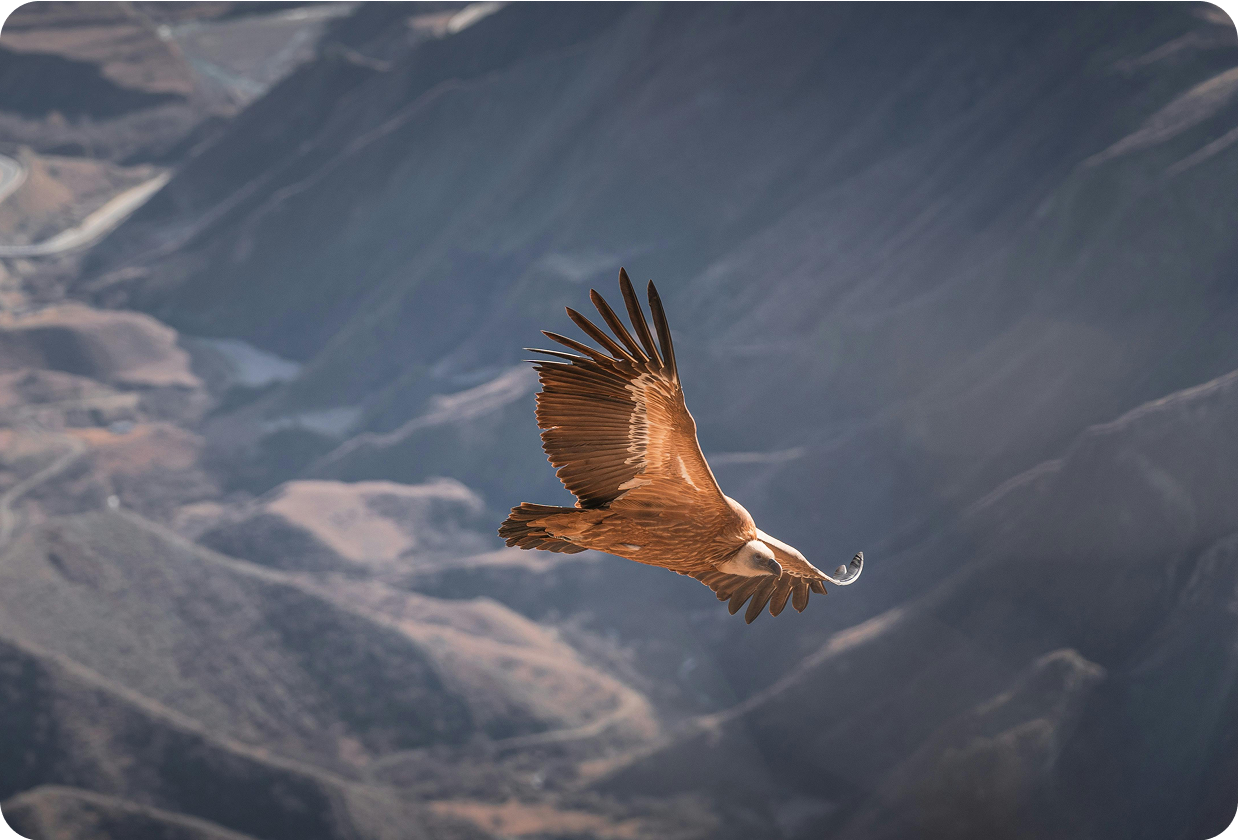 Why Climate-Tech Start-ups Hire Fractional CMOs