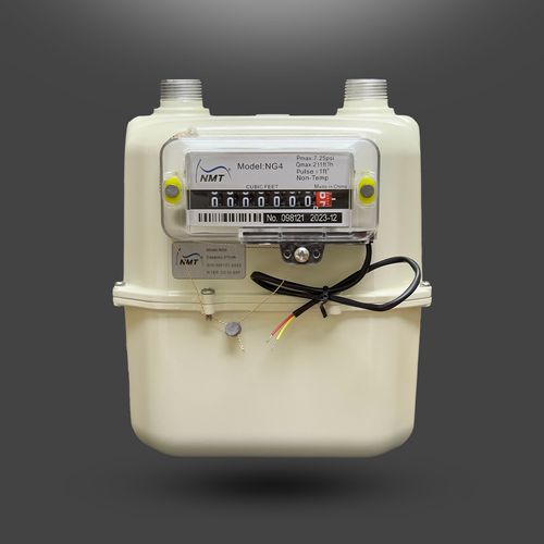 NMT® NG4 diaphragm gas meter