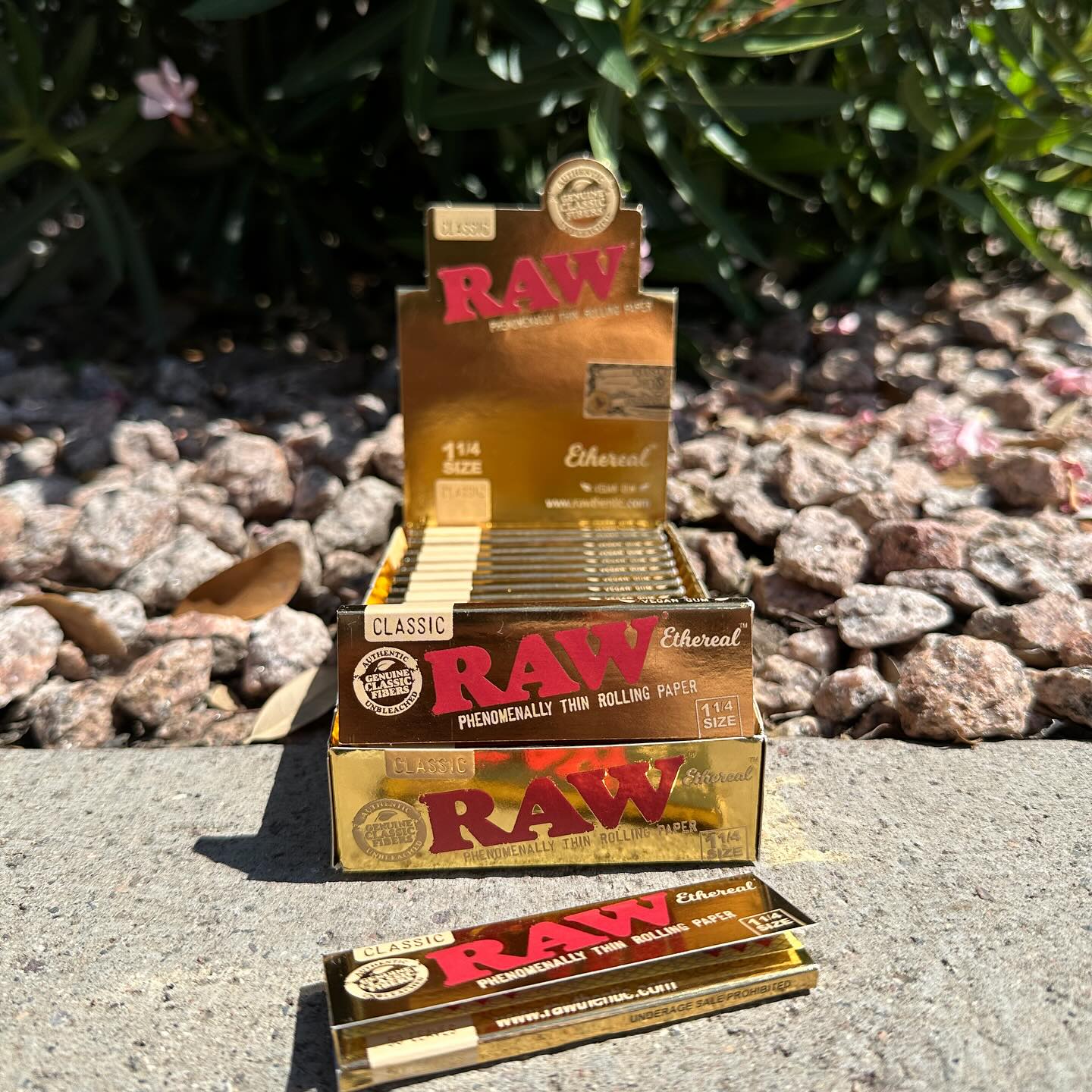 Packs and Display Box of RAW Ethereal Rolling Papers