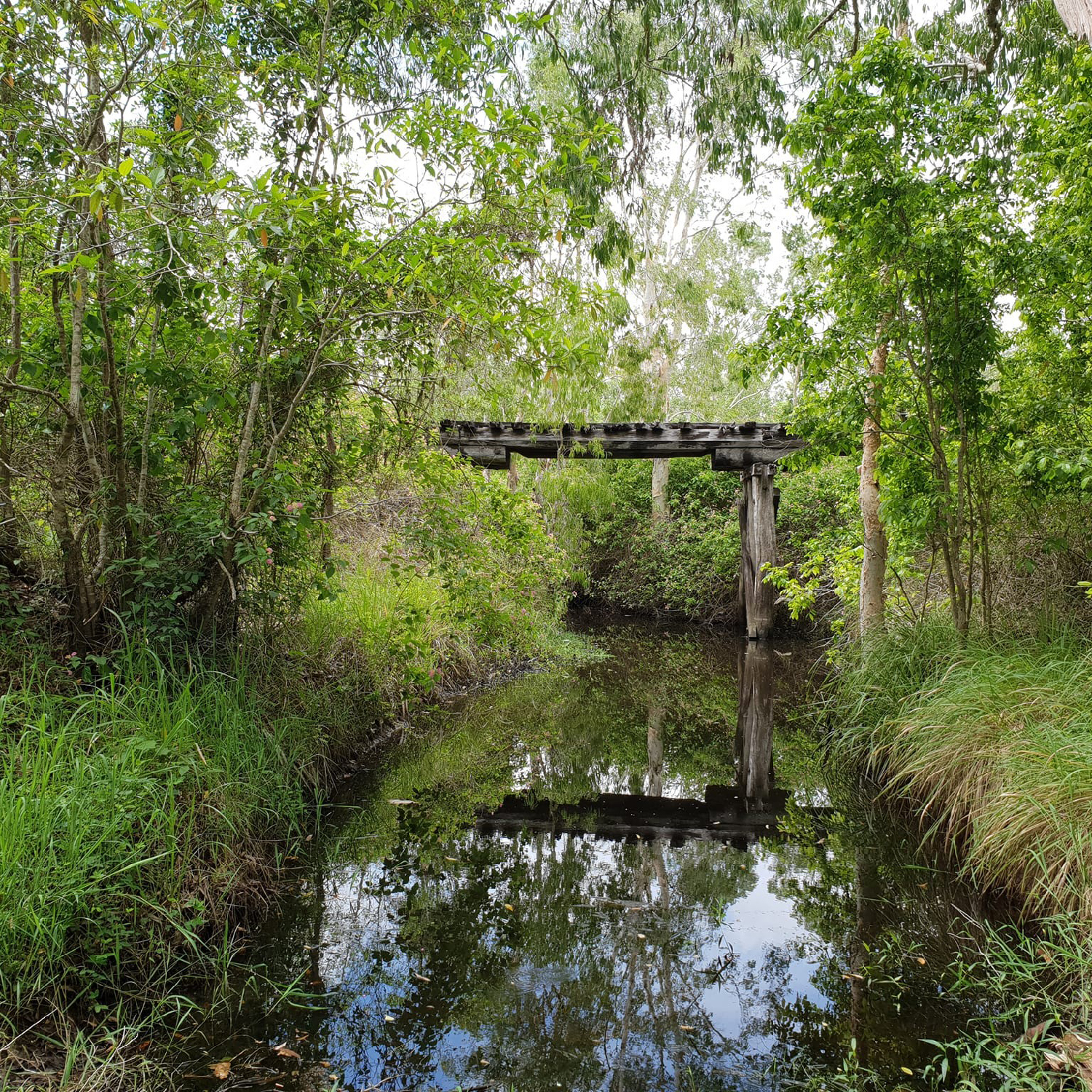 Tracks To Paradise