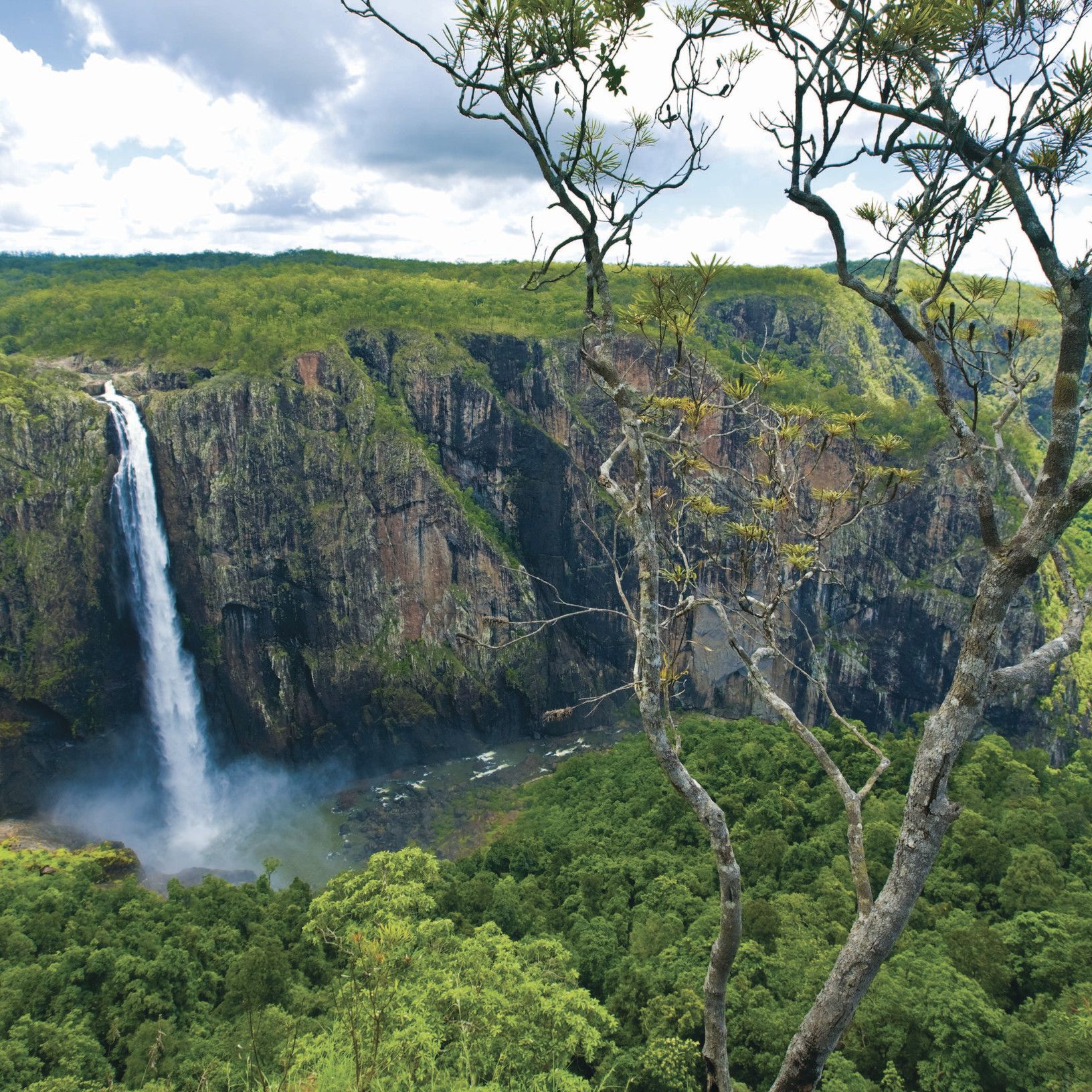 Come For A Day, Stay For A Story