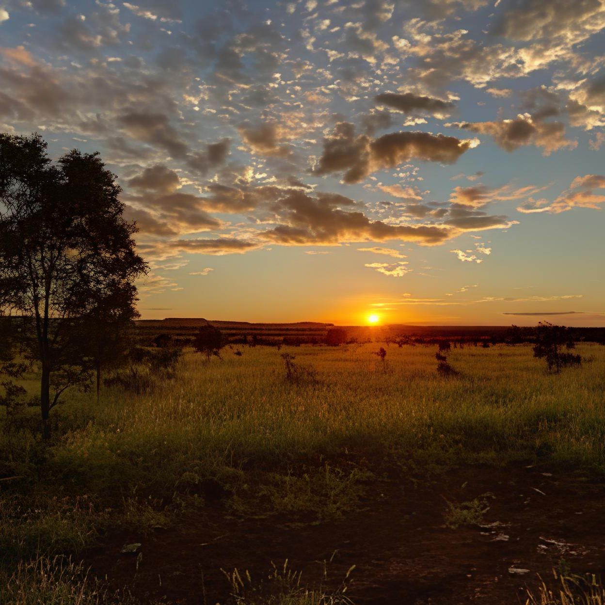Beyond The Mine: Discover The Heart Of Moranbah