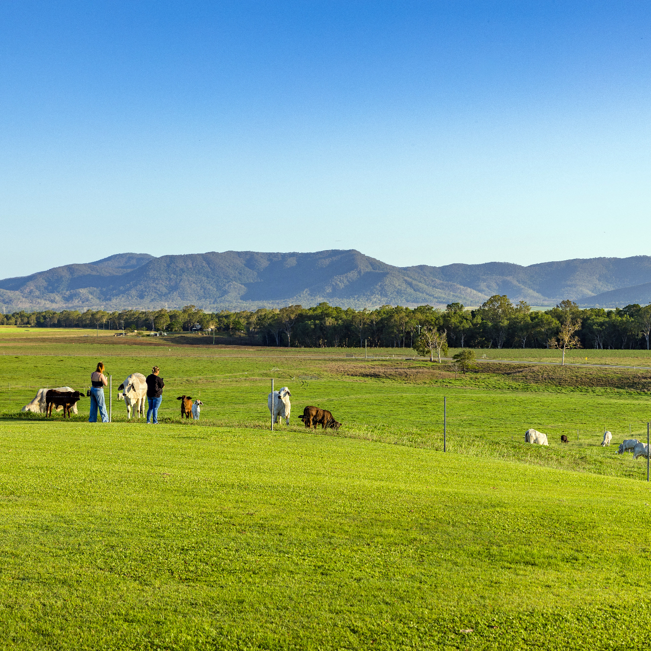 Weddings With Room to Breathe