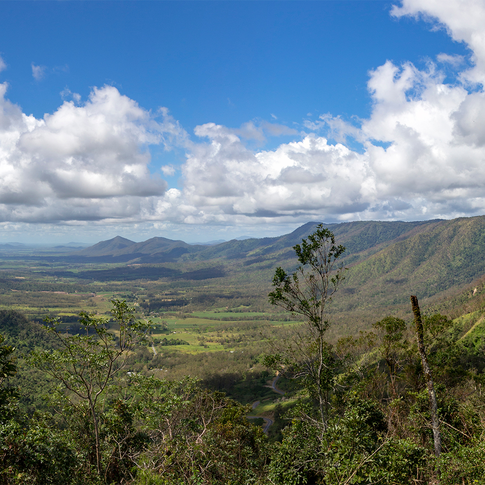 What’s On In The Pioneer Valley!