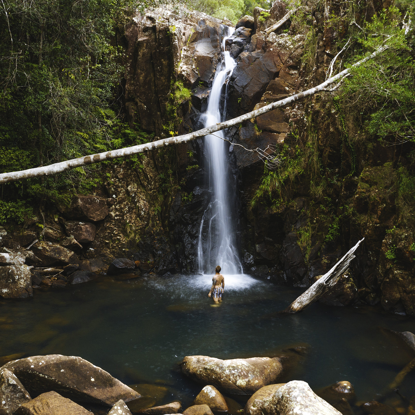 Beyond Townsville, Nature Surrounds
