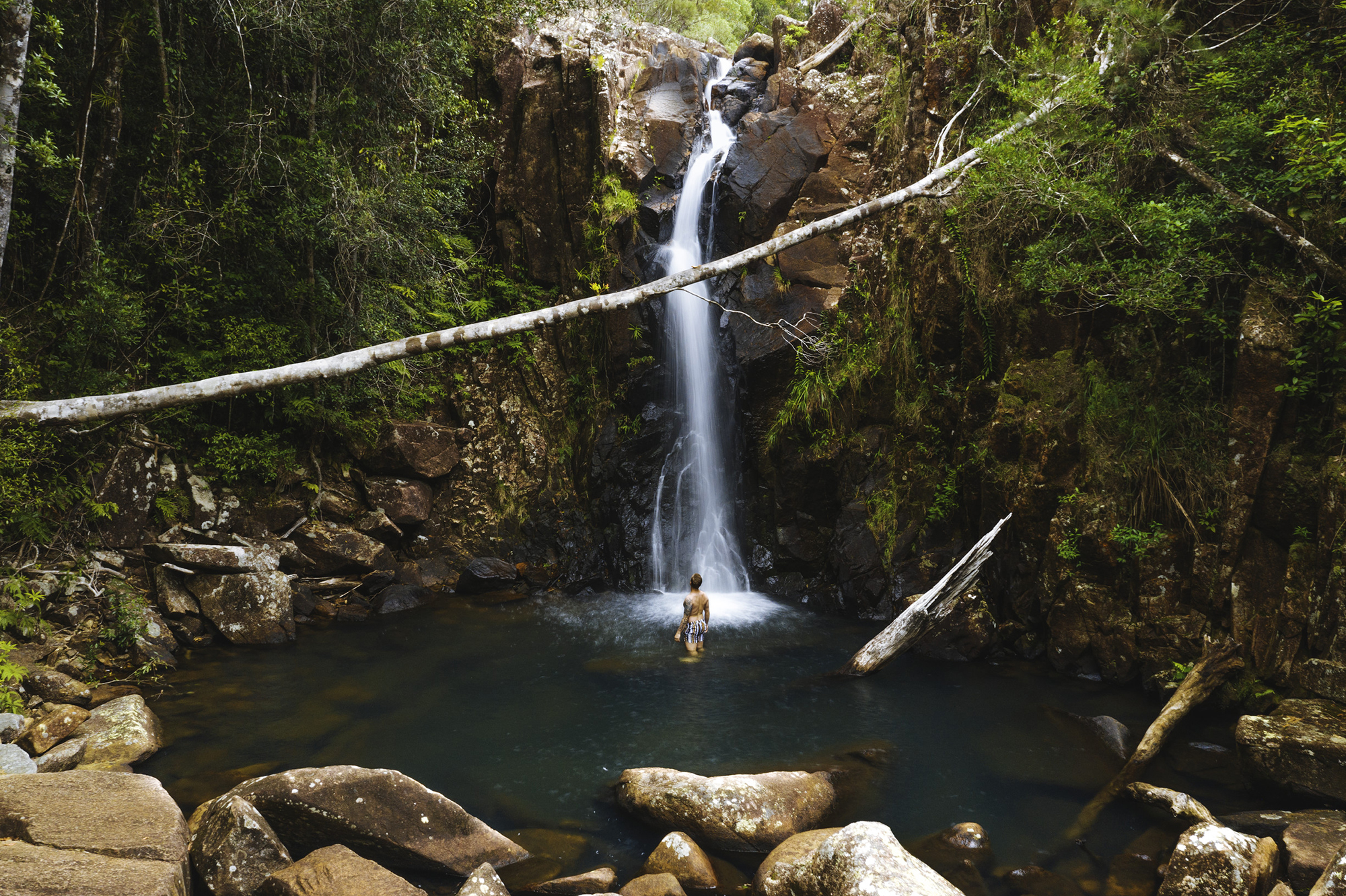 Beyond Townsville, Nature Surrounds