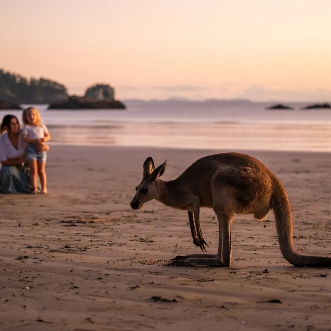 Birdsong, Boardwalks & Wallabies By The Shore 
