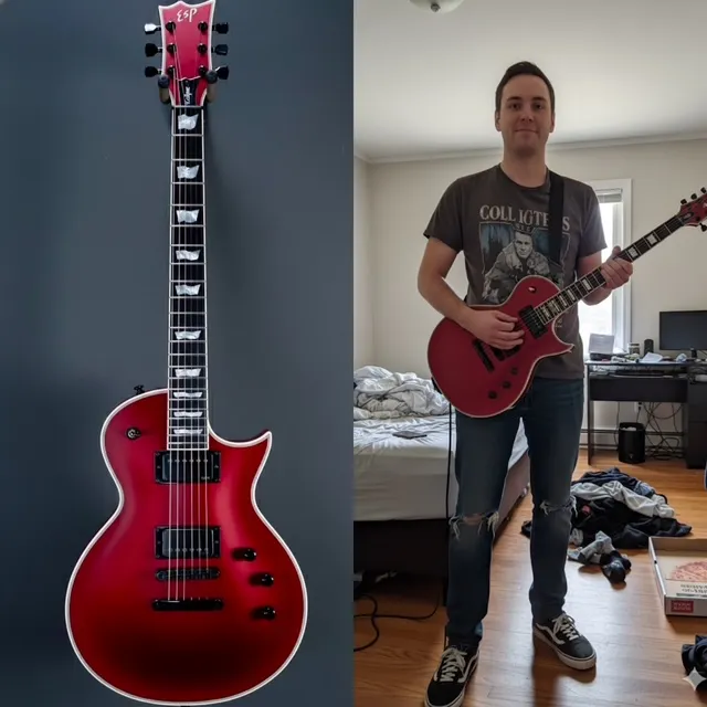 LTD Guitar