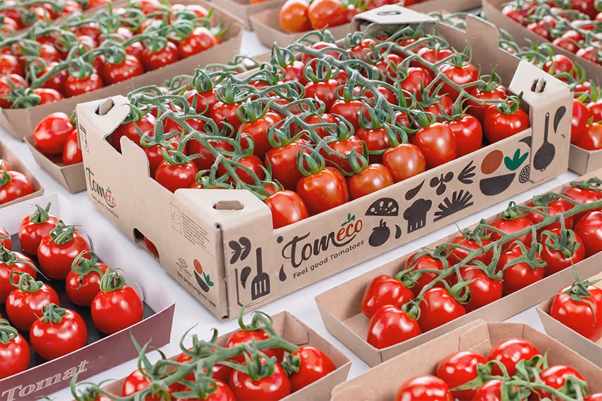 Duurzame, plasticvrije kartonnen tomatenverpakkingen van Tomeco