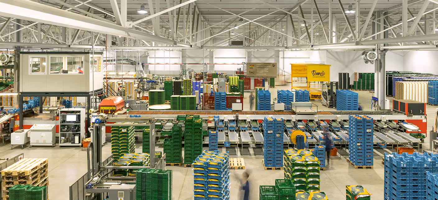 Moderne centrale sorteer- en verpakkingshal van Tomeco Services in Hoogstraten met geautomatiseerde sorteerlijnen