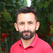Profielfoto Daniel tussen de tomaten