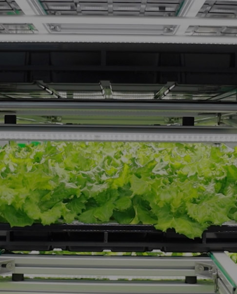 The World’s First Tokenized Robo-Farm Launches on peaq