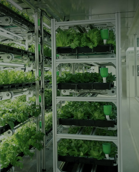 The World’s First Tokenized Robo-Farm Mint — How to Get Your Greens