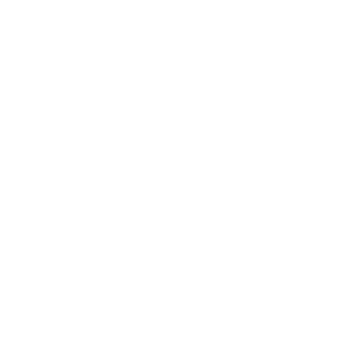 White email Icon
