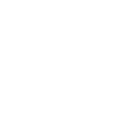 White Telephone Icon
