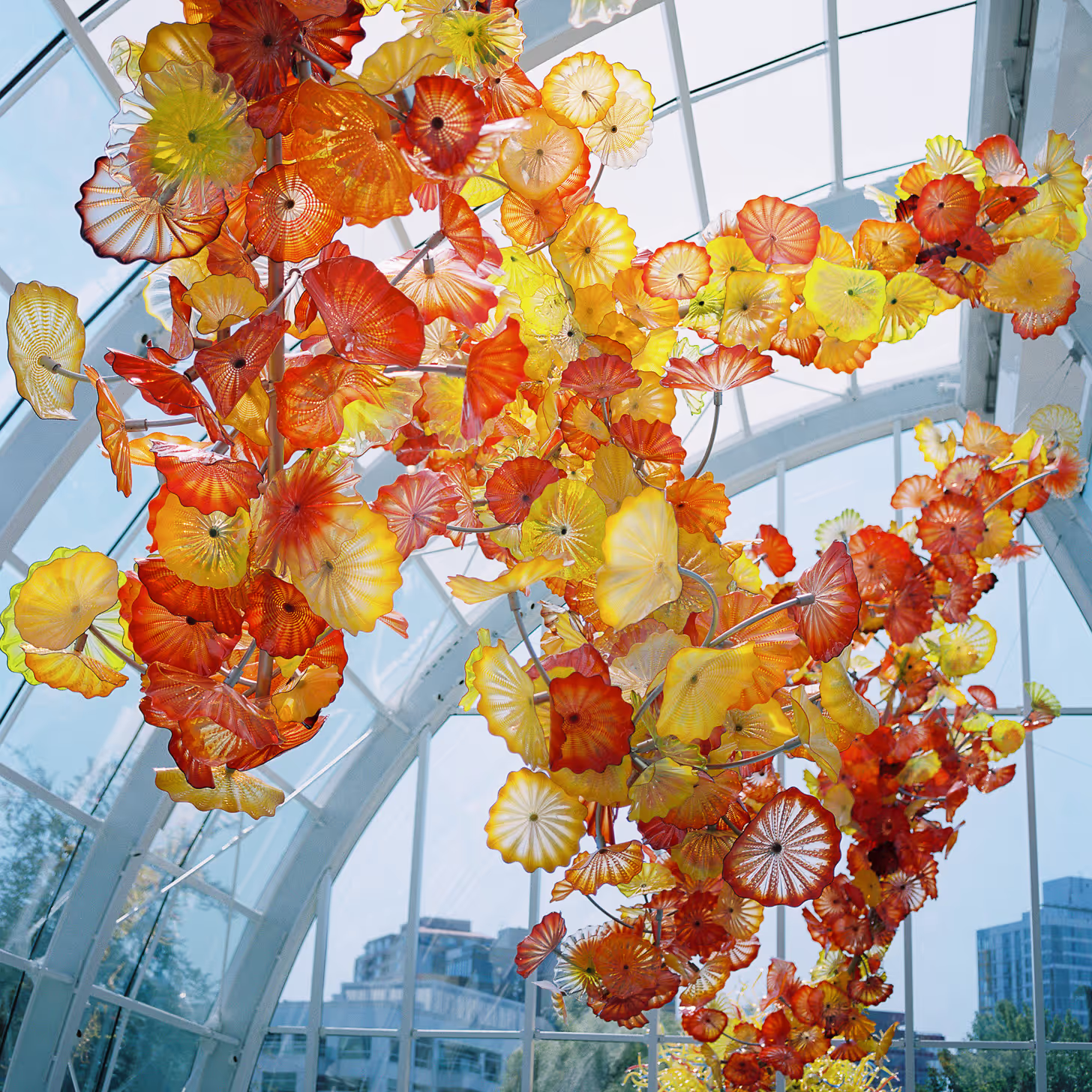 Photo of Dale Chihuly glass artwork installation