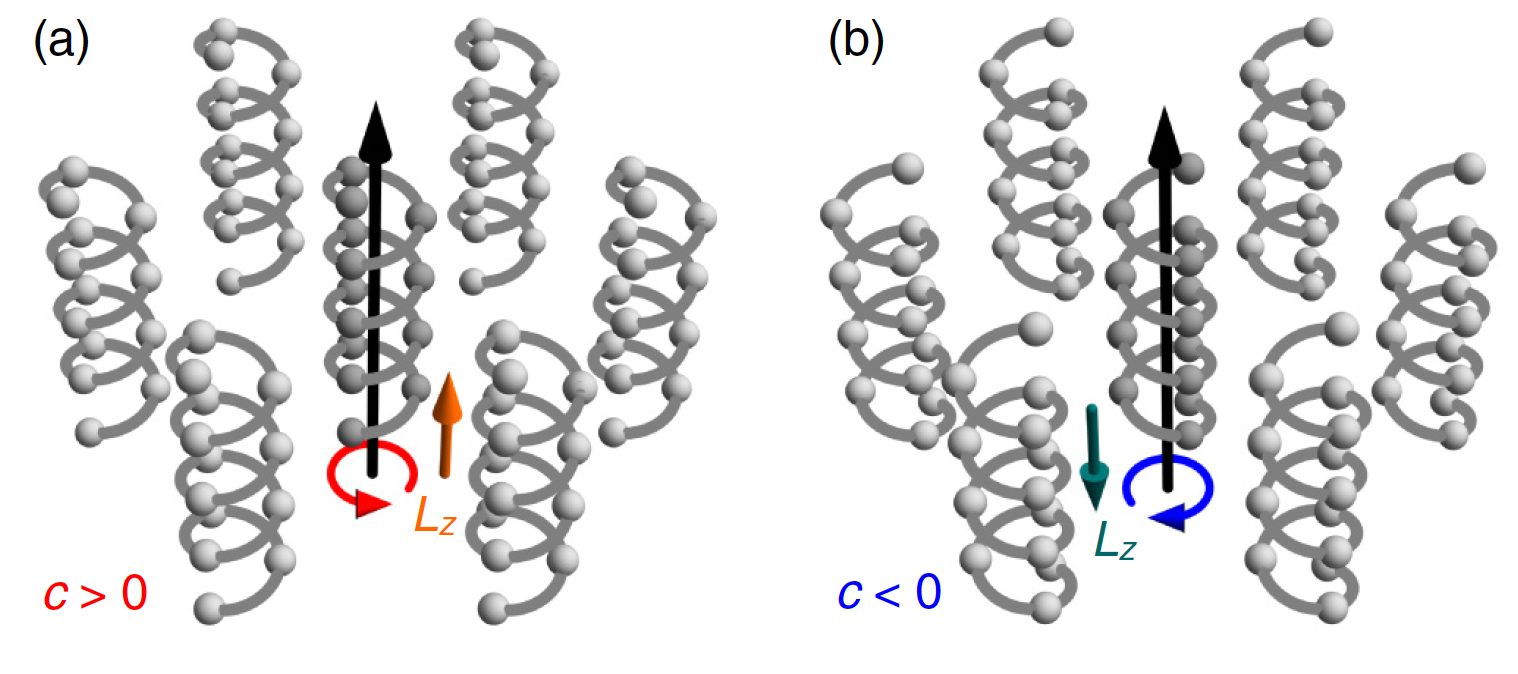 Chirality-induced orbital Edelstein effect in an analytically solvable model