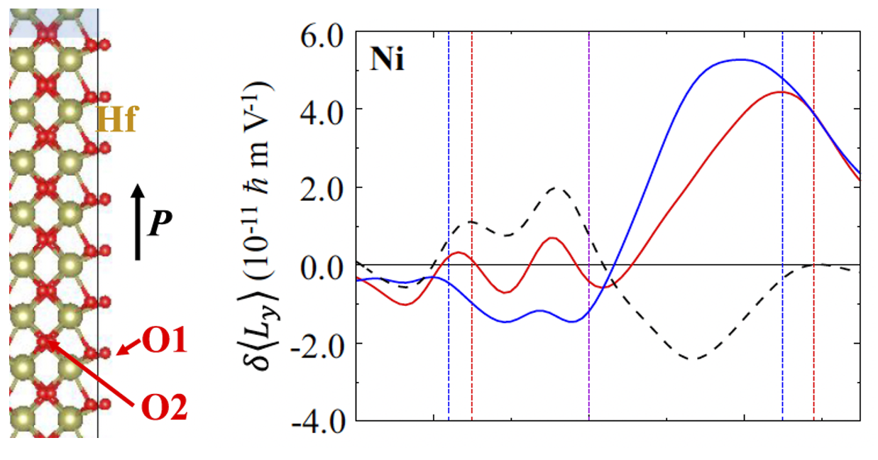 Ferroelectric control of spin and orbital Rashba effects at the Ni/HfO2 interface