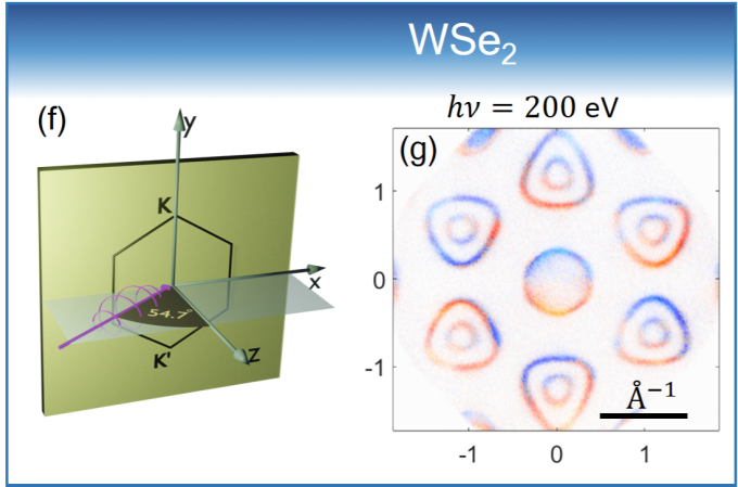 Scattering makes a difference in circular dichroic angle-resolved photoemission