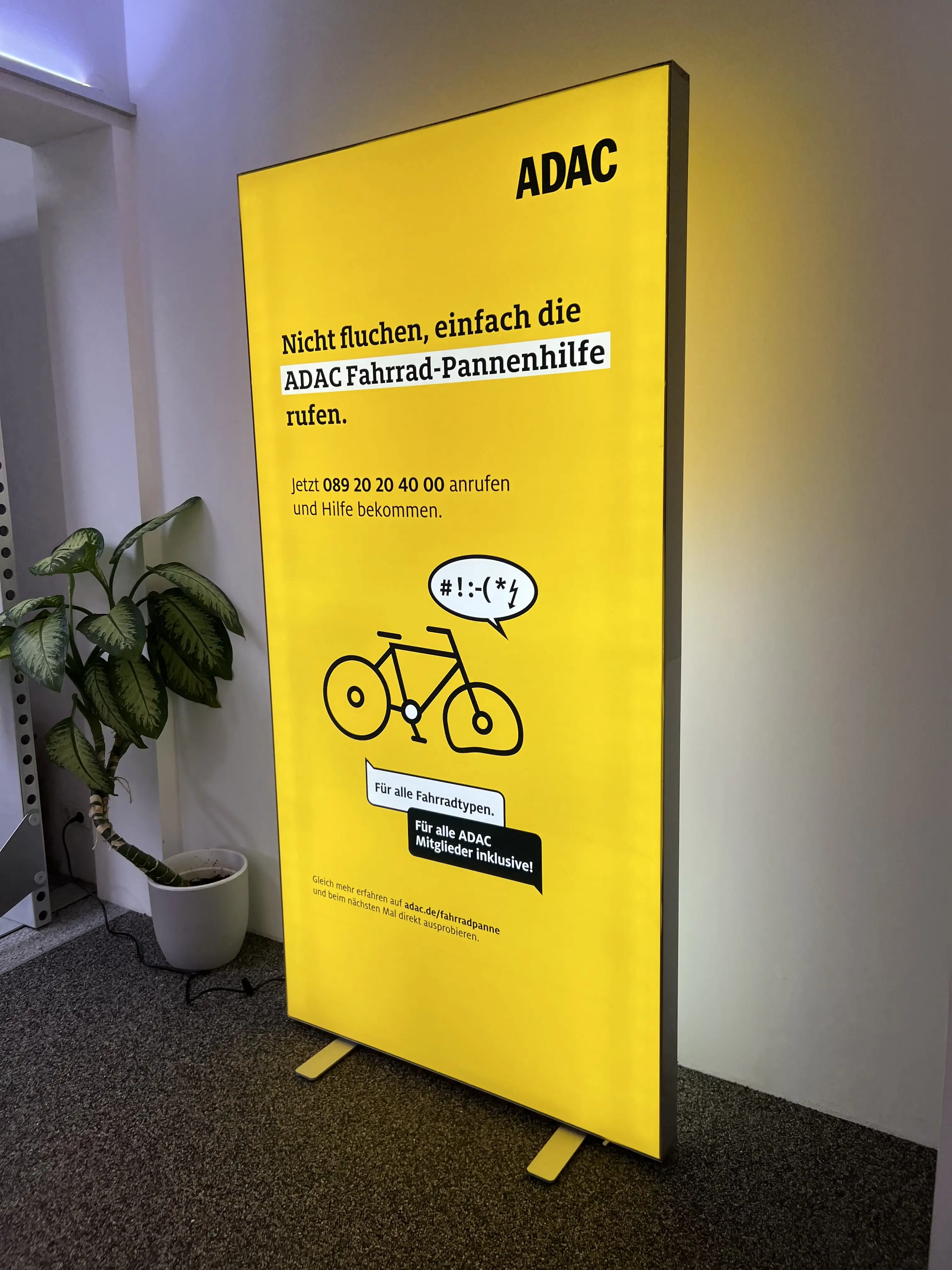 Bildbeschreibung hier