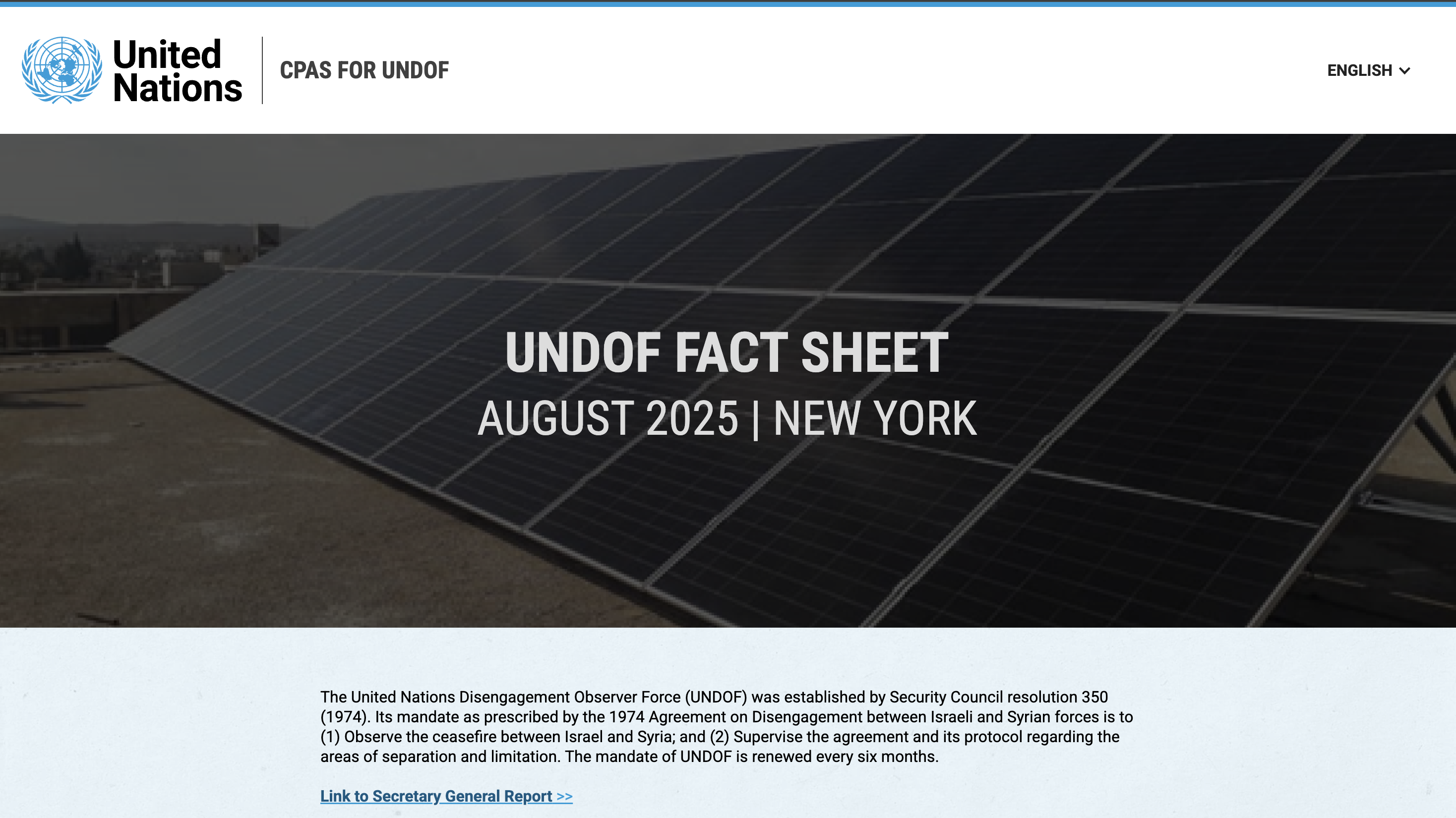 Virtual Factsheet 1