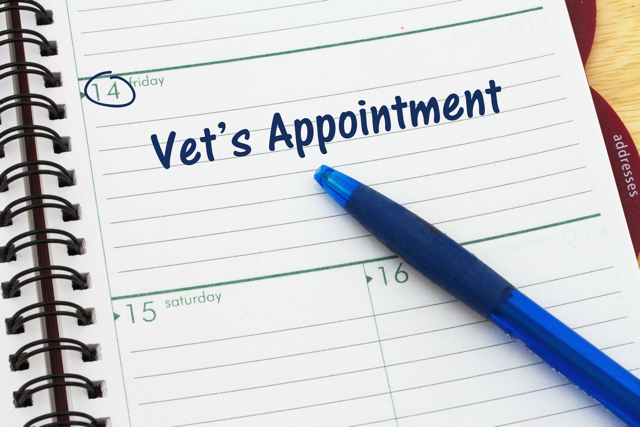 Calendar open to Friday the 14th with 'Vet's Appointment' and a blue pen on the page.
