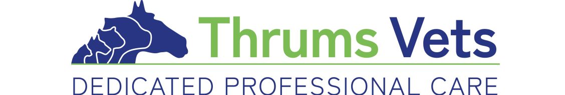 Logo with a stylized horse head and the text Thrums Vets Dedicated Professional Care.