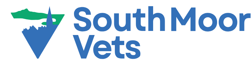 Logo with stylized blue triangle and green shape alongside the text South Moor Vets in blue.