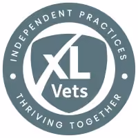 XL Vets logo with text Independent Practices Thriving Together in a circular design.