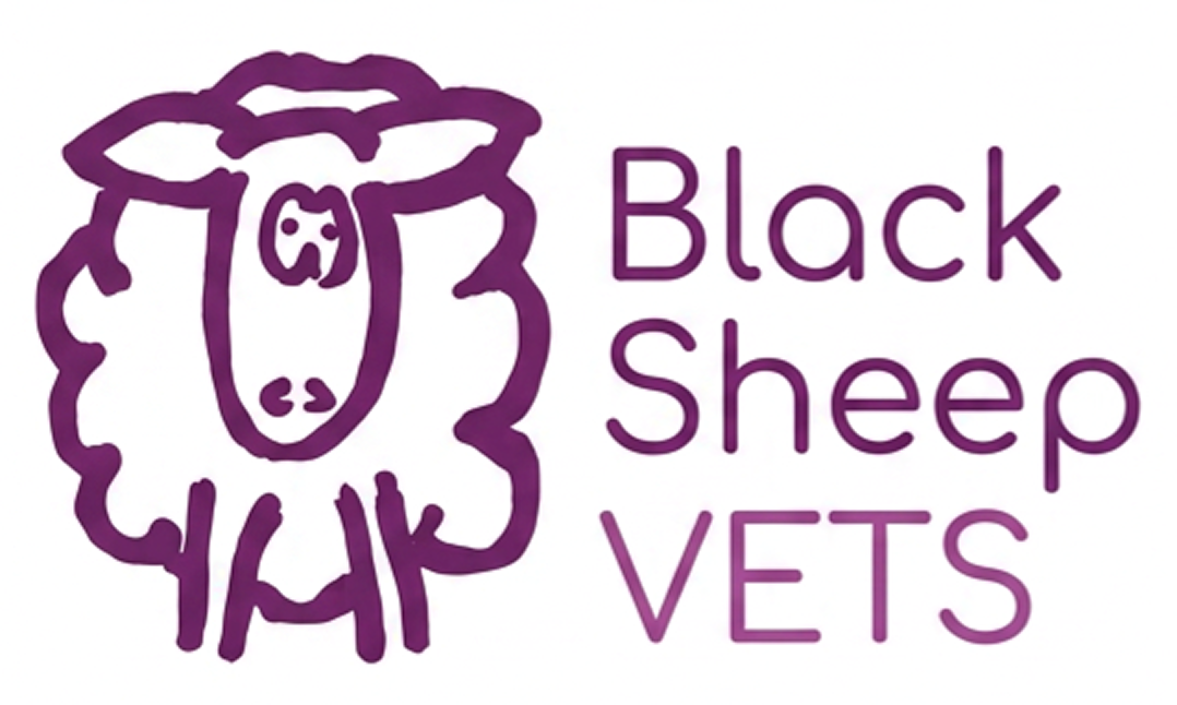 Logo with a purple line drawing of a sheep's face and the text Black Sheep VETS.