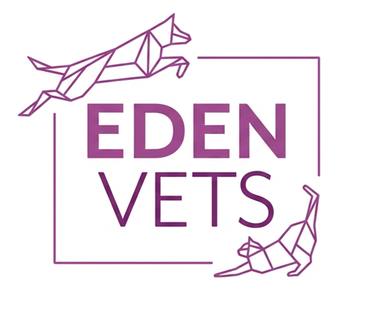 Logo for Eden Vets with geometric outline of a leaping dog and a stretching cat in purple.