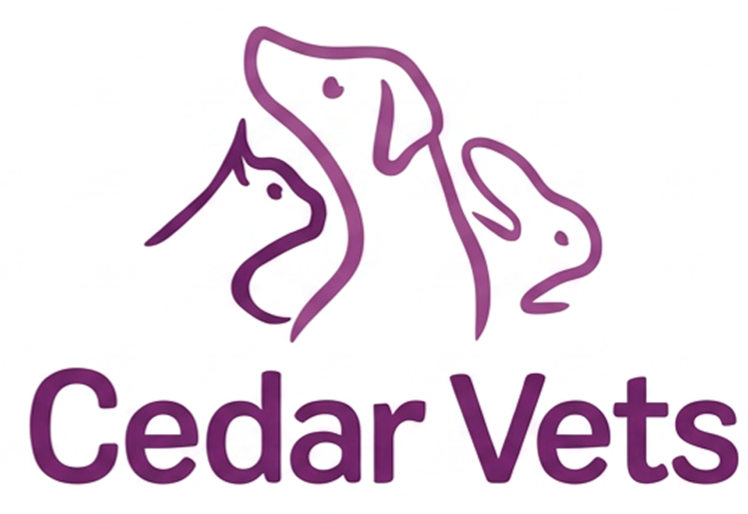 Purple outline drawing of a cat, dog, and rabbit above the text Cedar Vets.