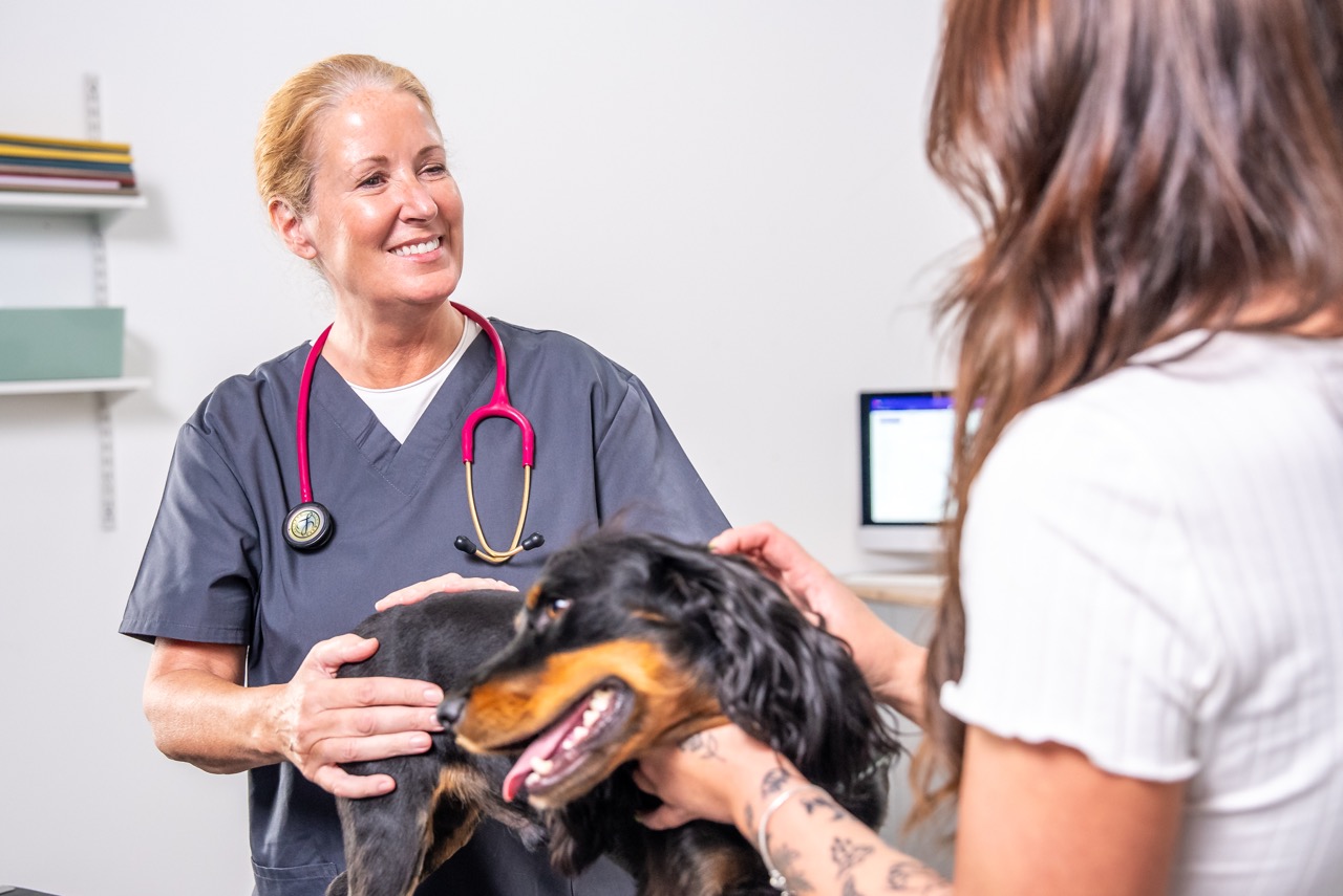 Female veterinarian in scrubs with stethoscope smiling while examining black and brown dog with owner.