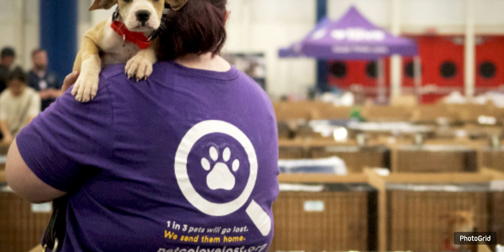  More Than 400 Animals Adopted on Petco Love Mega Adoption