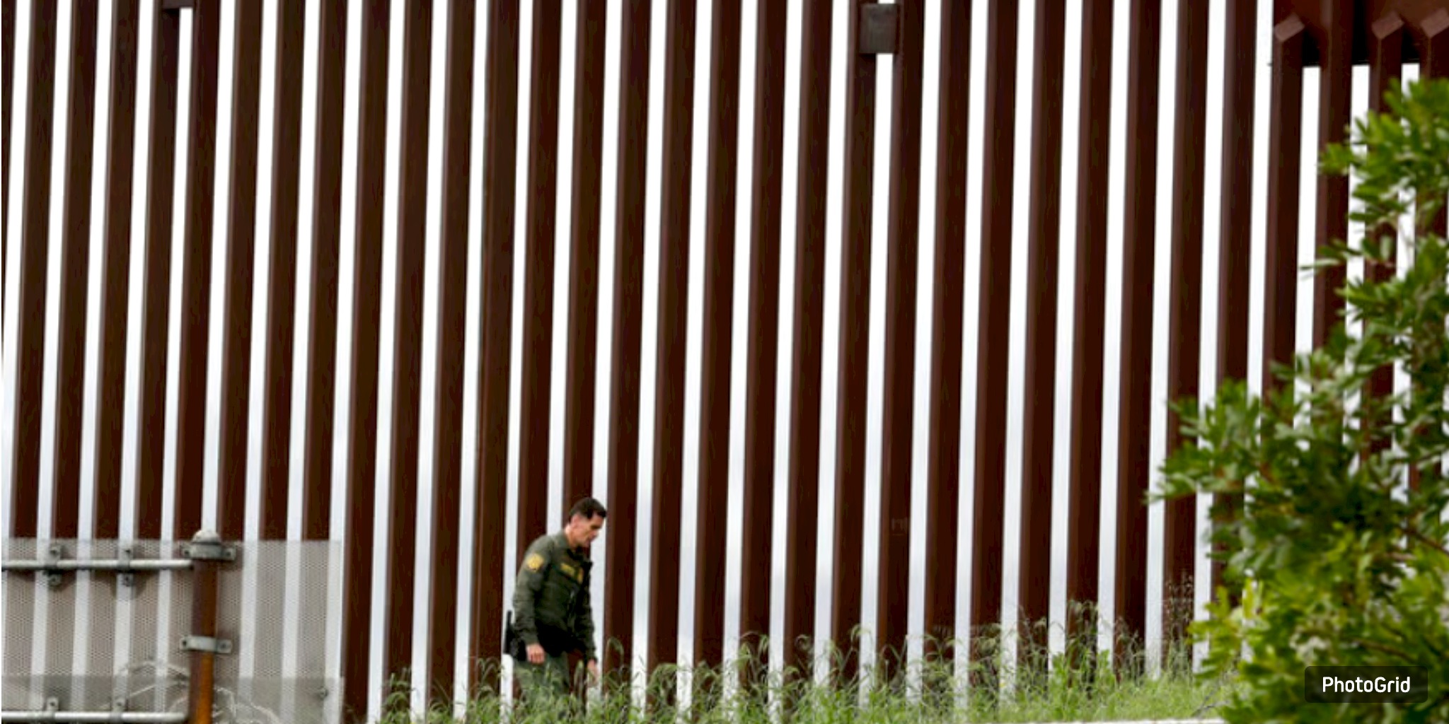 Trump Administration Waives 30+ Laws to Build Border Wall Through South Texas Wildlife Refuge